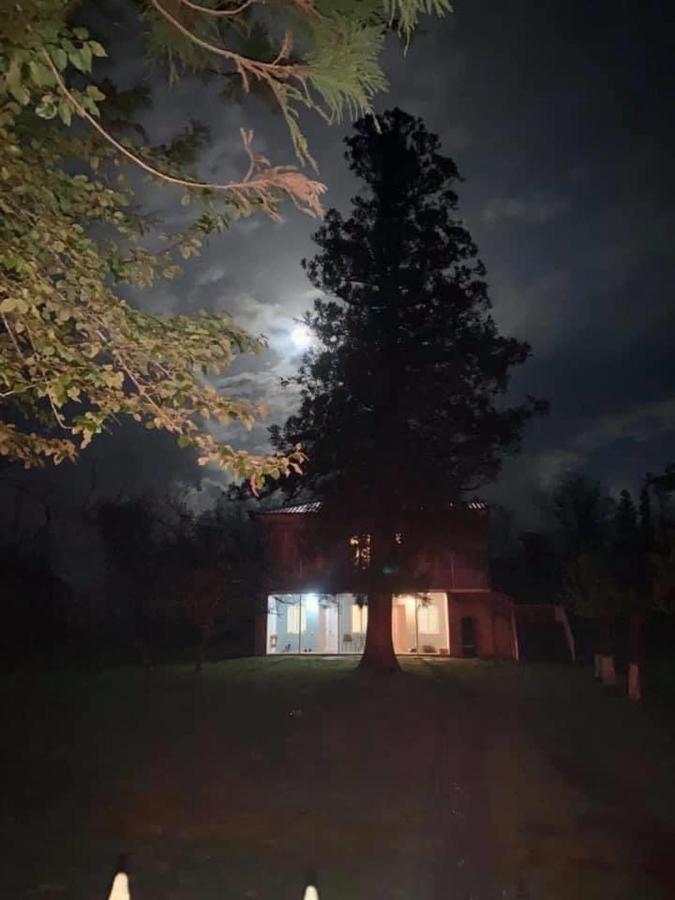 Martv'Elle Boutique Guesthouse Martvili Eksteriør billede